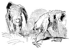 Hahnenkampf sw 14.jpg